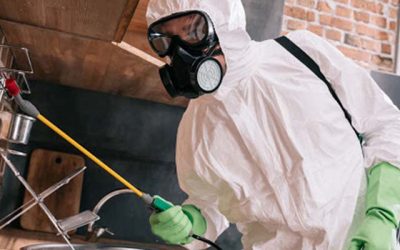 Disinfezione E Sanificazione