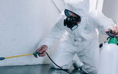 Sanitizzazione Belsito