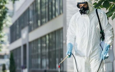 Disinfezione Ambienti Roma