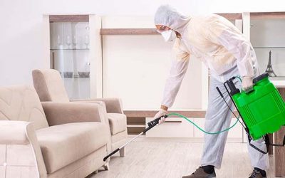Sanitizzazione Alberone