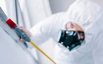 Disinfezione Ambienti Con Ozono Roma