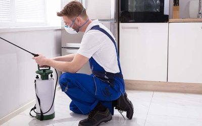 Sanitizzazione Appio Latino