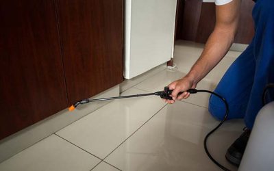 Disinfezione Ambienti Con Ozono Licenza