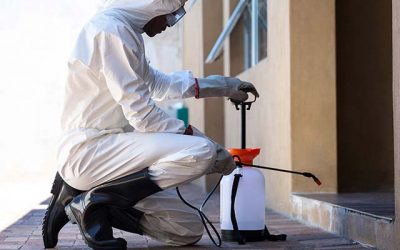 Disinfezione Ambienti Nomentano